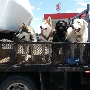 Meet your Posher, Carl